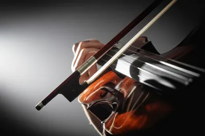 Illustration bowed - Image 1