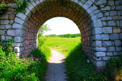 Illustration vault - Image 1