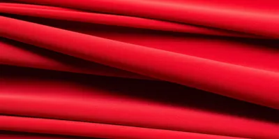 Illustration cochineal - Image 1