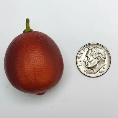 Illustration rhymes - Image 1