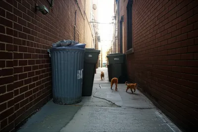 Illustration gangway - Image 1