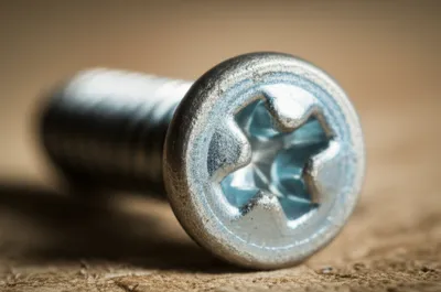 Illustration fillet - Image 1