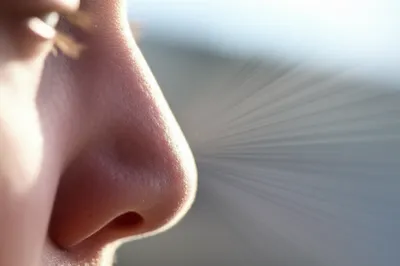 Illustration snuffed - Image 1