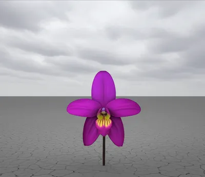 Illustration uncommonly - Image 1