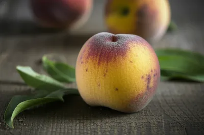 Illustration bruised - Image 1