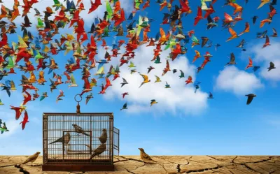 Illustration predominates - Image 1