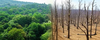 Illustration lessens - Image 1