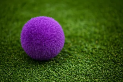 Hình ảnh minh họa violets - Ảnh 1