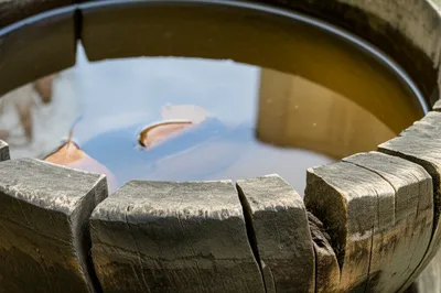 Illustration coarse - Image 1