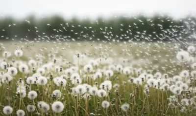 Illustration poufs - Image 1