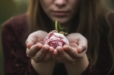 Illustration understanding - Image 1