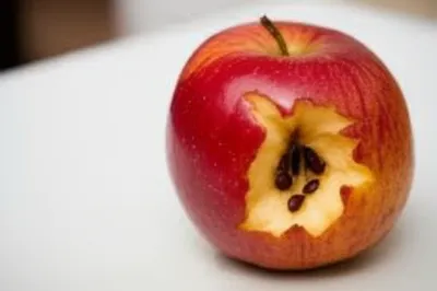 Illustration perforations - Image 1