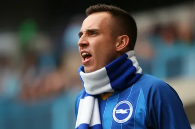 Illustration seagulls - Image 1