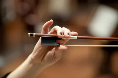 Illustration frogs - Image 1