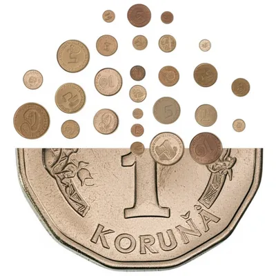 Hình ảnh minh họa halier