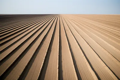 Illustration stripping - Image 1