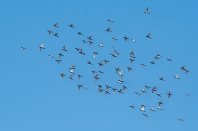 Illustration dissolving - Image 1