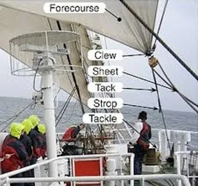 Illustration tack - Image 2