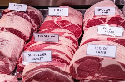 Illustration joints - Image 1