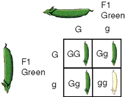 Illustration cross - Image 2