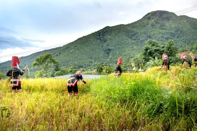 Illustration scythes - Image 2