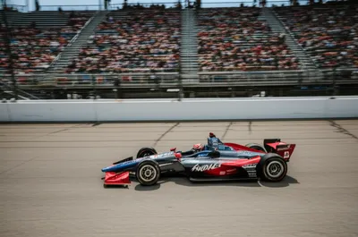 Illustration indies - Image 1