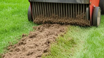 Illustration scarified - Image 1