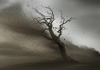 Illustration routed - Image 1