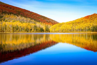 Illustration reflected - Image 1