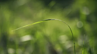 Illustration slightly