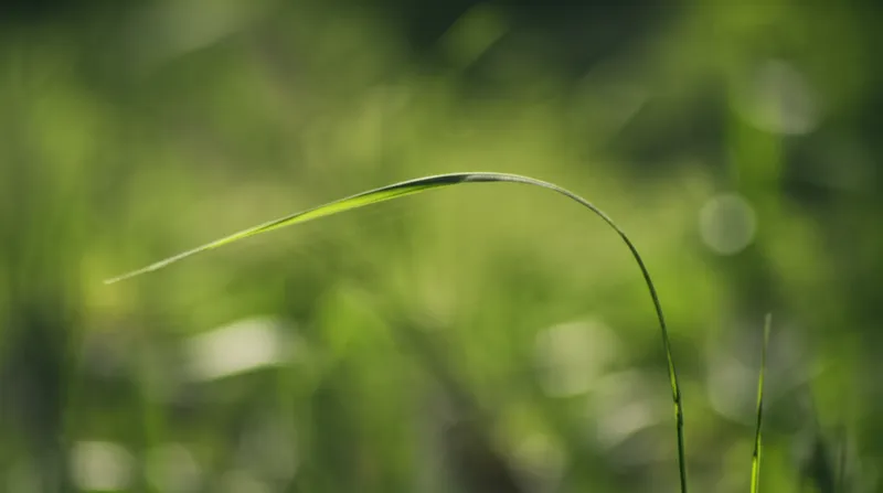 Illustration visuelle du mot « slightly » - Légèrement, un peu