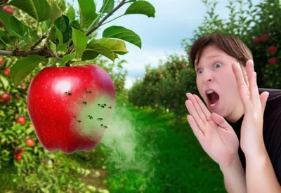 Illustration aversive - Image 1