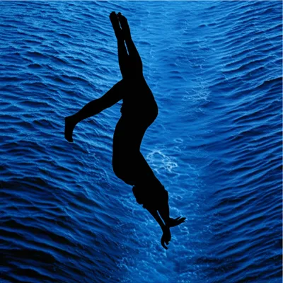 Illustration dived - Image 1