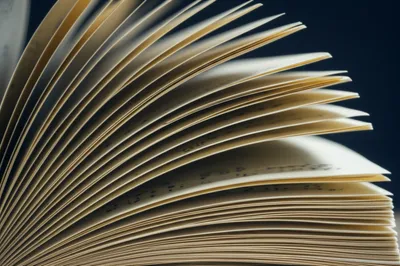 Illustration riffs - Image 1