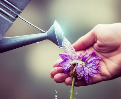 Illustration recompense - Image 1