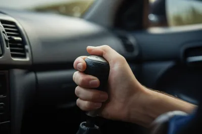 Illustration standard - Image 1