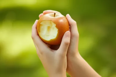 Illustration munch - Image 1