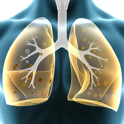 Illustration rattle - Image 1