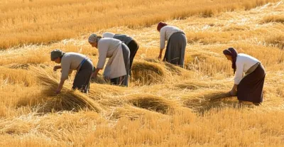 Illustration leasing - Image 1