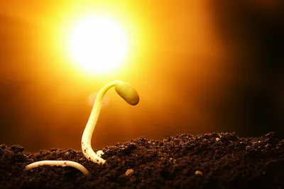 Illustration inceptive - Image 1