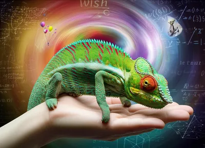 Illustration modes - Image 1