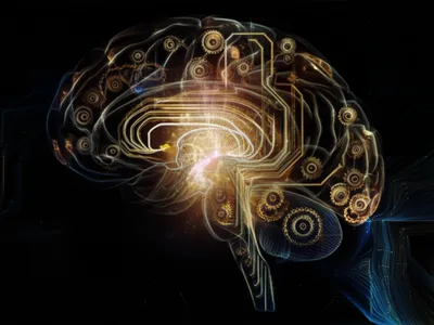 Hình ảnh minh họa logistic - Ảnh 1