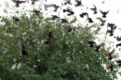 Illustration noised - Image 1