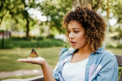 Illustration alighting - Image 1