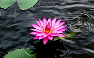 Illustration unfazed - Image 1