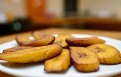 Illustration dodo - Image 1