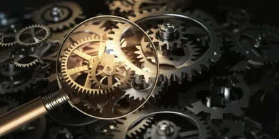 Illustration fact - Image 1