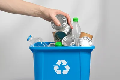 Illustration dispose - Image 1