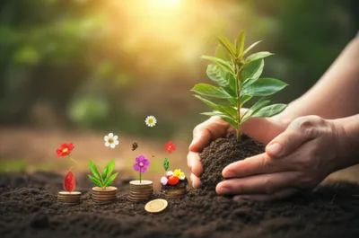 Illustration investments