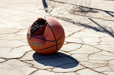 Illustration busted - Image 1